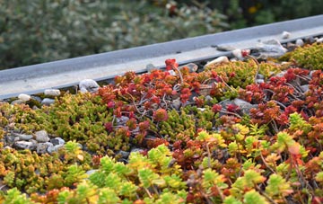 the cost of Dippin green roof installation