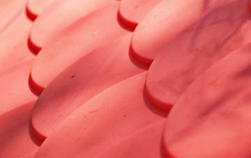 Dippin plastic roof costs