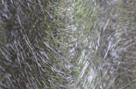 Dippin fibreglass roof work